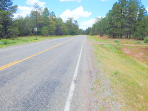 GDMBR:  We were looking to camp near Gallina Pass.